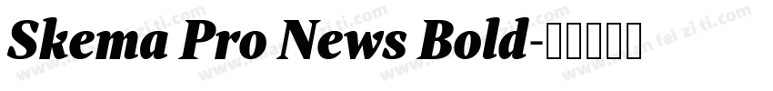 Skema Pro News Bold字体转换